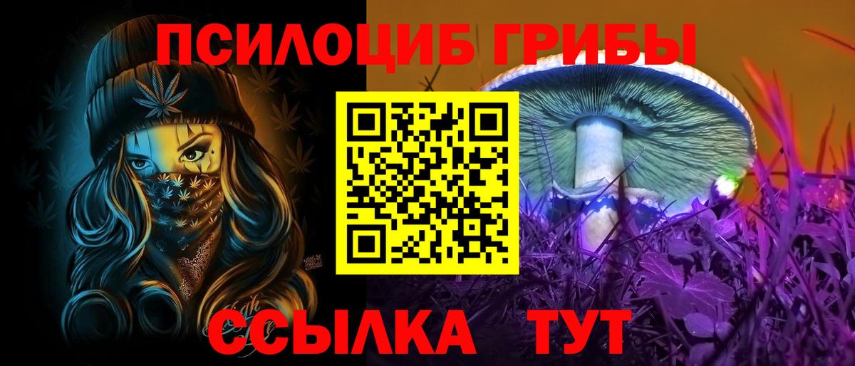 Зеленогорск  Псилоцибиновые грибы GOLDEN TEACHER  Галлюциногенные грибы Cubensis  Вход с VPN 